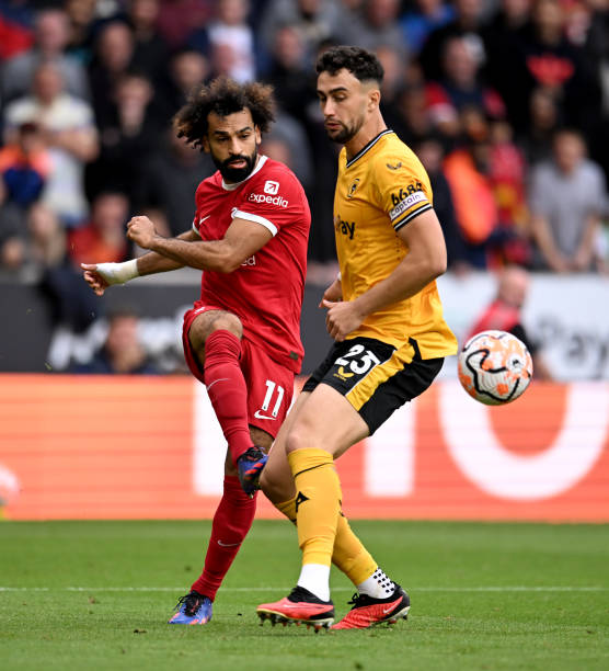 意民担任顾 意民担任顾